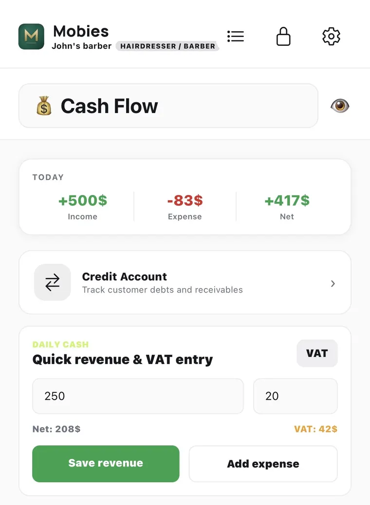 The Cash Flow screen showing today's income, expense and net figures, a Credit Account entry for tracking customer debt, and a quick revenue and VAT entry form